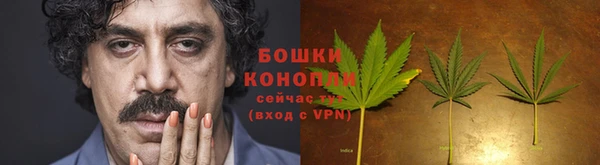 ALPHA PVP Медвежьегорск